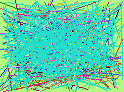 person lookup